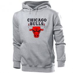 Чоловіче худі Chicago Bulls - PrintSalon