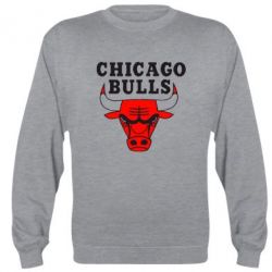 Світшот Chicago Bulls - PrintSalon