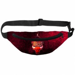 3D-сумка на пояс Chicago Bulls - PrintSalon