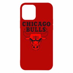 Чохол для iPhone 12 Chicago Bulls - PrintSalon