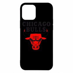 Чохол для iPhone 12 Pro Chicago Bulls