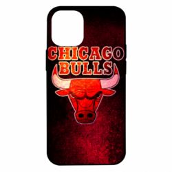 Чохол для iPhone 12 mini Chicago Bulls - PrintSalon