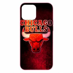 Чохол для iPhone 12 Pro Max Chicago Bulls - PrintSalon