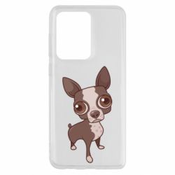 Чехол для Samsung S20 Ultra Чихуахуа - PrintSalon