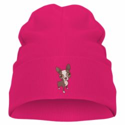 Детская шапка Чихуахуа - PrintSalon