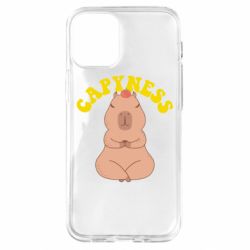 Чохол для iPhone 12 mini Capyness - PrintSalon