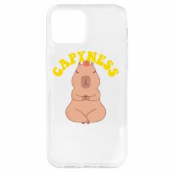 Чохол для iPhone 12 Pro Capyness
