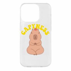 Чохол для iPhone 14 Pro Capyness