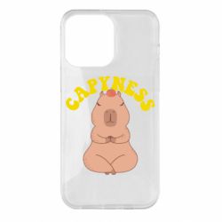 Чохол для iPhone 14 Pro Max Capyness - PrintSalon