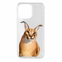 Чехол для iPhone 14 Pro Max Большой шлёпа - PrintSalon