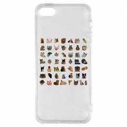 Чехол для iPhone5/5S/SE Коты мем. - PrintSalon