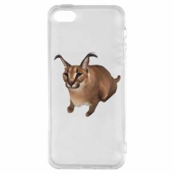 Чехол для iPhone5/5S/SE Шлепа кот - PrintSalon