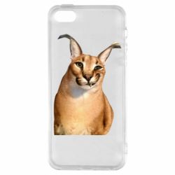 Чехол для iPhone5/5S/SE Большой шлёпа - PrintSalon