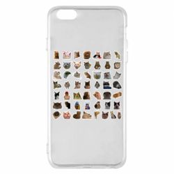 Чехол для iPhone 6 Plus/6S Plus Коты мем. - PrintSalon