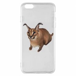 Чехол для iPhone 6 Plus/6S Plus Шлепа кот - PrintSalon