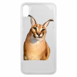 Чехол для iPhone Xs Max Большой шлёпа - PrintSalon