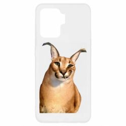 Чехол для Oppo Reno 5 Lite Большой шлёпа - PrintSalon