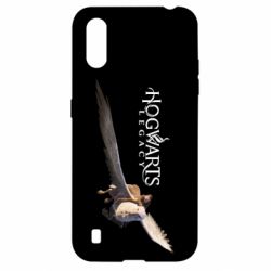 Чехол для Samsung A01/M01 Hogwarts Legacy. Грифон