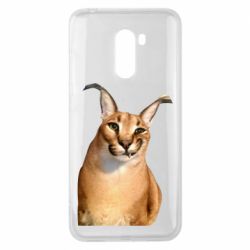 Чехол для Xiaomi Pocophone F1 Большой шлёпа - PrintSalon