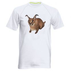 Мужская футболка для спорта Шлепа кот - PrintSalon