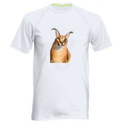 Мужская футболка для спорта Большой шлёпа - PrintSalon