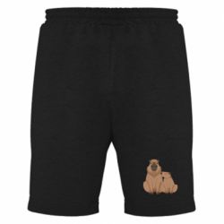 Мужские шорты Две капибары