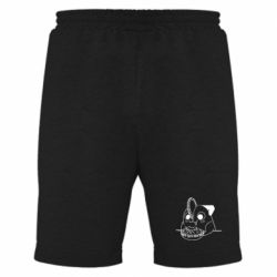 Мужские шорты Почита - PrintSalon