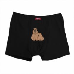 Труси-боксери Дві капібари
