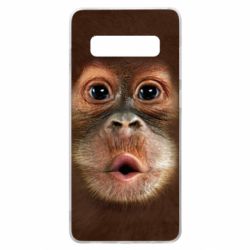 Чохол для Samsung S10+ Cute monkey face - PrintSalon