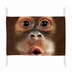 Флаг Cute monkey face