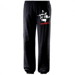 Штаны DC Shoes