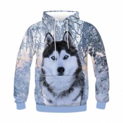 Дитяче 3D худі Winter Husky - PrintSalon