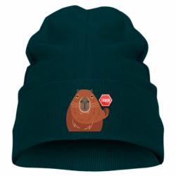 Детская шапка Капибара. Error - PrintSalon