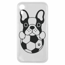 Чехол для iPhone XR Dog with ball - PrintSalon
