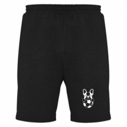 Мужские шорты Dog with ball - PrintSalon