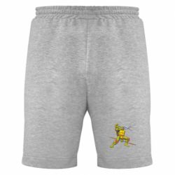 Чоловічі шорти Донателло