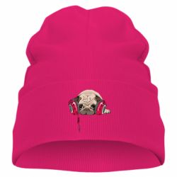Детская шапка Doug the pug