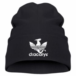 Детская шапка Dracarys - PrintSalon