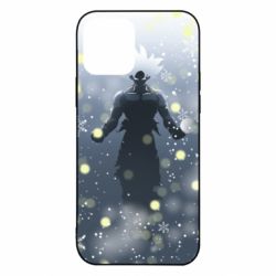 Чохол для iPhone 12 Dragon ball and snowflakes - PrintSalon