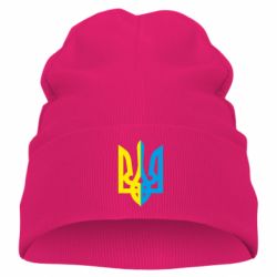 Детская шапка Двокольоровий герб України - PrintSalon
