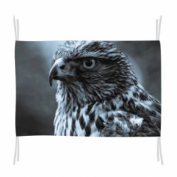 Прапор Eagle and fog-PrintSalon Прапор Eagle and fog