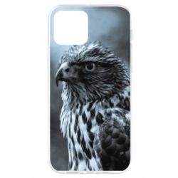 Чехол для iPhone 12 Pro Eagle and fog - PrintSalon