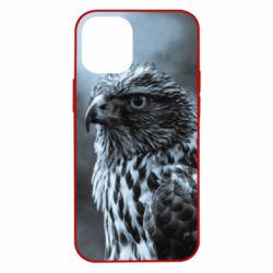 Чехол для iPhone 12 mini Eagle and fog - PrintSalon