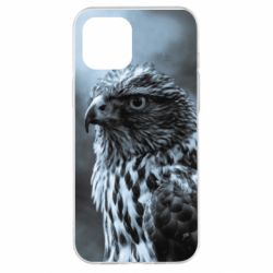 Чехол для iPhone 12 Pro Max Eagle and fog - PrintSalon
