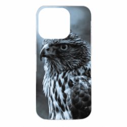 Чехол для iPhone 14 Pro Eagle and fog - PrintSalon