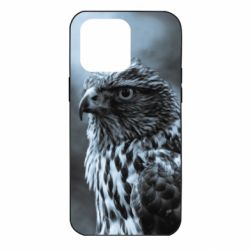 Чехол для iPhone 14 Pro Max Eagle and fog - PrintSalon