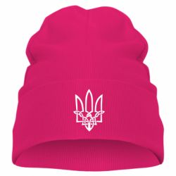 Дитяча шапка Emblem 17 - PrintSalon