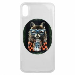 Чехол для iPhone Xs Max Енот в очках - PrintSalon
