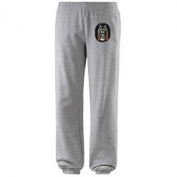 Штаны Енот в очках - PrintSalon