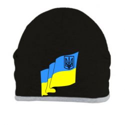 Шапка Флаг Украины с Гербом - PrintSalon